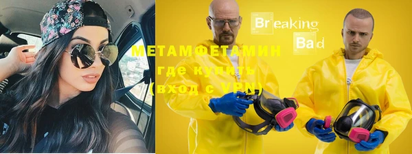 ГАЛЛЮЦИНОГЕННЫЕ ГРИБЫ Осинники