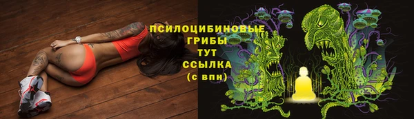 молекула духа Осташков