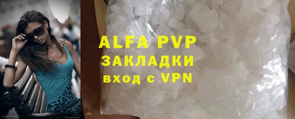 молекула духа Осташков