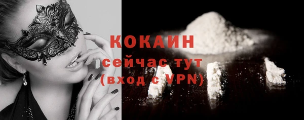 молекула духа Осташков