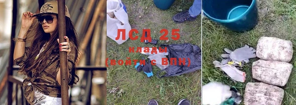 ГАЛЛЮЦИНОГЕННЫЕ ГРИБЫ Осинники