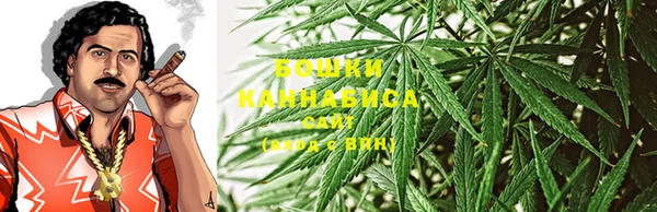 ГАЛЛЮЦИНОГЕННЫЕ ГРИБЫ Осинники