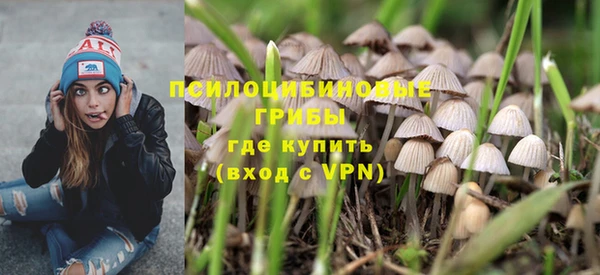 ГАЛЛЮЦИНОГЕННЫЕ ГРИБЫ Осинники