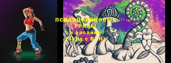 молекула духа Осташков