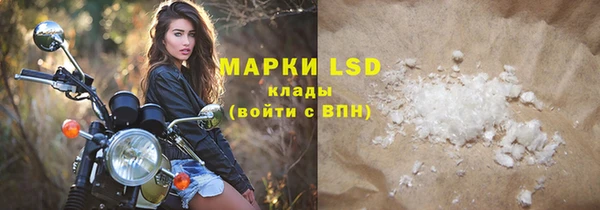 ГАЛЛЮЦИНОГЕННЫЕ ГРИБЫ Осинники