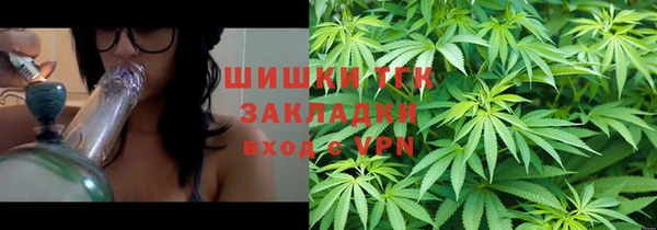 ГАЛЛЮЦИНОГЕННЫЕ ГРИБЫ Осинники
